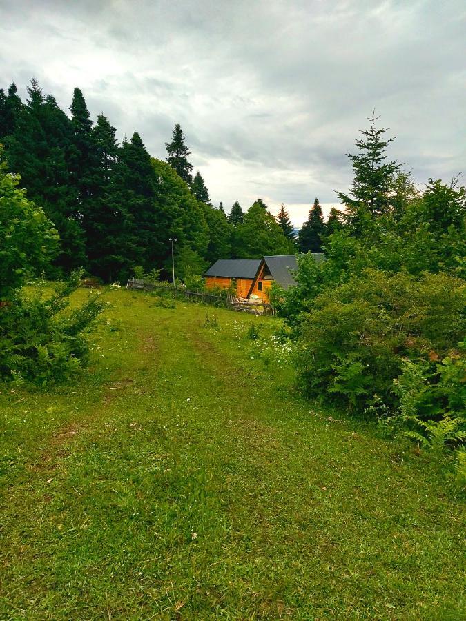 Вилла Mebirashi *