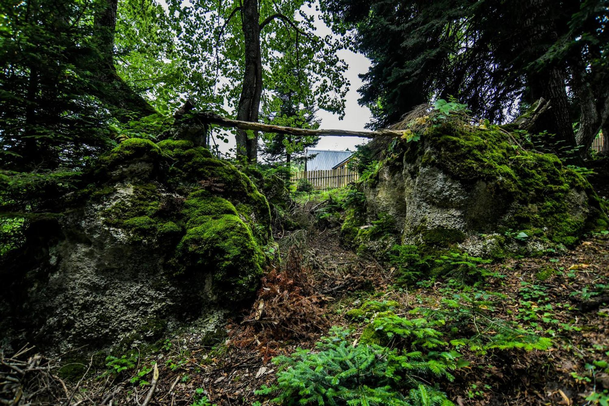 Mebirashi Амбролаури
